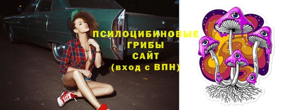 ПСИЛОЦИБИНОВЫЕ ГРИБЫ Алзамай