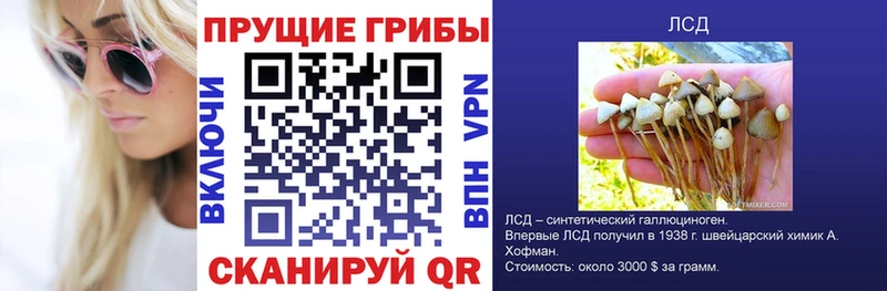 наркошоп Среднеколымск Псилоцибиновые грибы Magic Shrooms